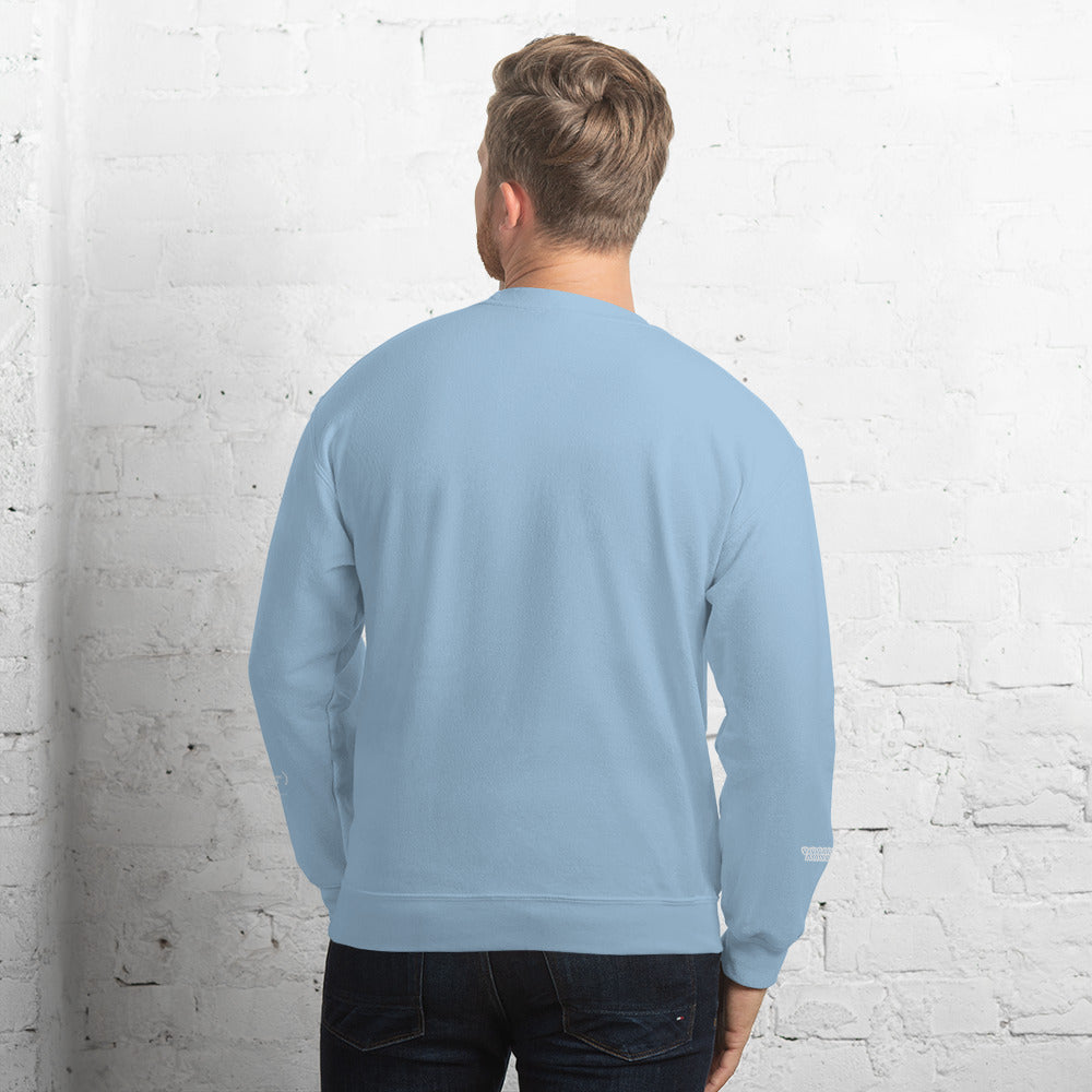 Valvetronic Varsity style sweatshirt - COLORADO N5X
