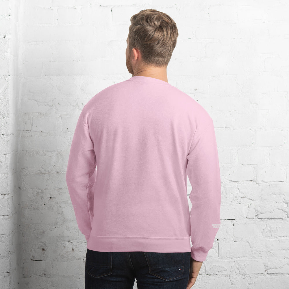 Valvetronic Varsity style sweatshirt - COLORADO N5X
