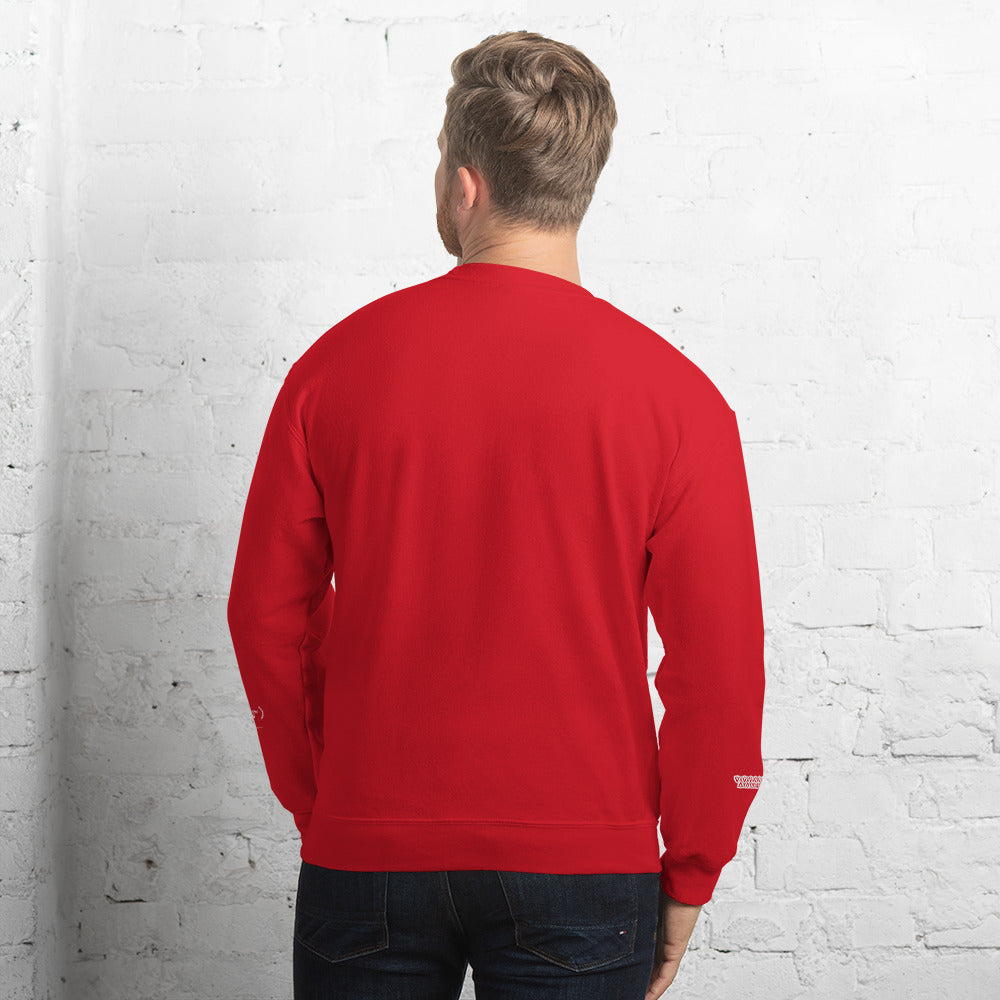 Valvetronic Varsity style sweatshirt - COLORADO N5X