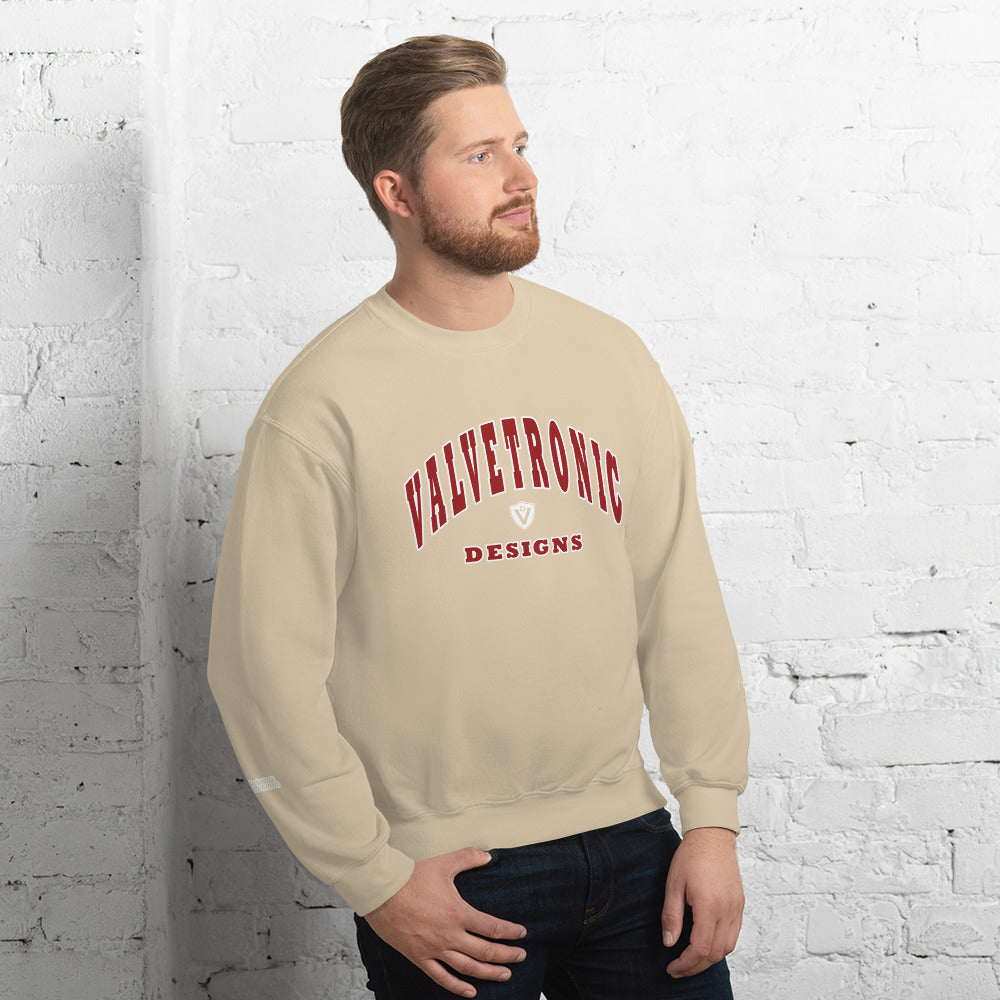 Valvetronic Varsity style sweatshirt - COLORADO N5X