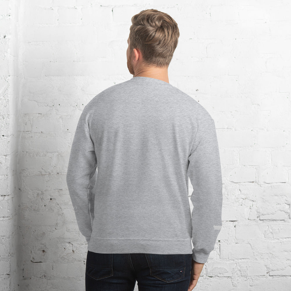 Valvetronic Varsity style sweatshirt - COLORADO N5X