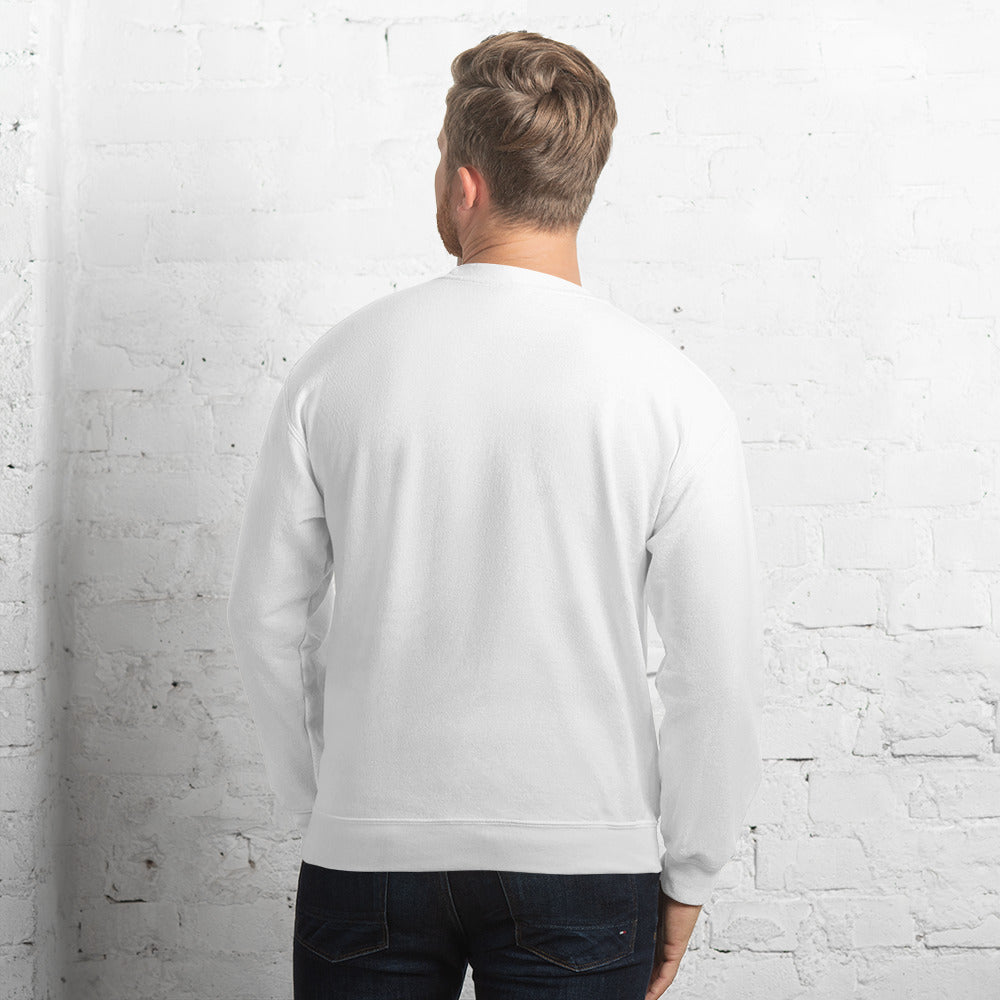 Valvetronic Varsity style sweatshirt - COLORADO N5X