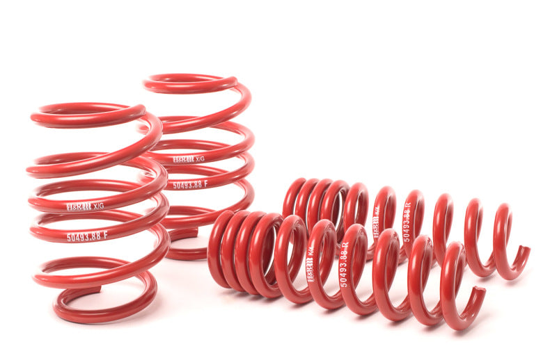 H&R 08-13 BMW M3 Coupe/M3 Sedan E92 Race Spring - COLORADO N5X