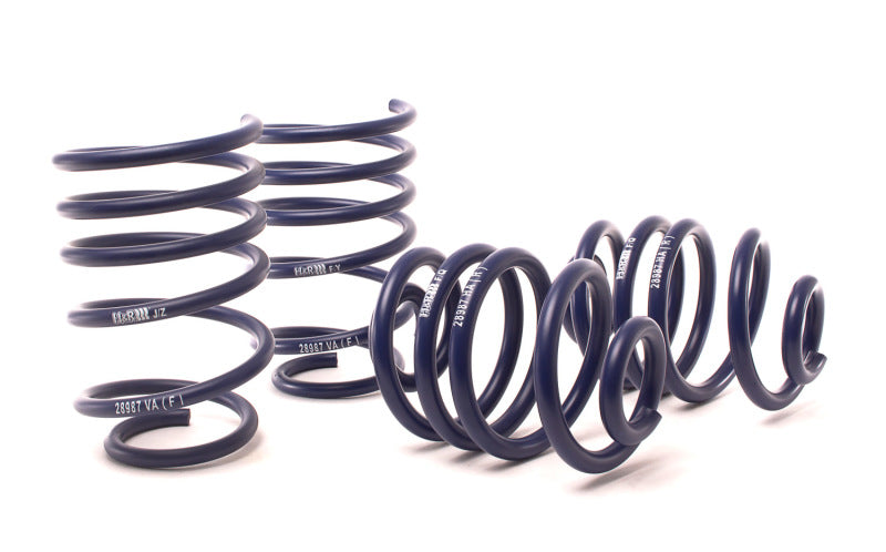 H&R 09-16 BMW Z4 sDrive30i/Z4 sDrive35i/Z4 sDrive35is E89 Sport Spring (w/Sport Susp.) - COLORADO N5X